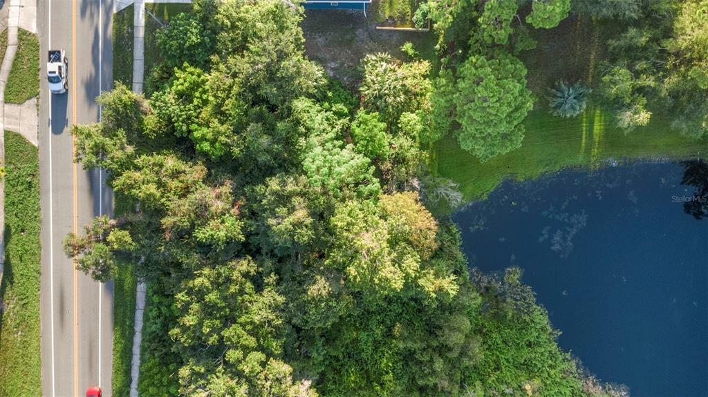 1005 Doyle Road Deltona, FL 32725 - Photo 7 of 14