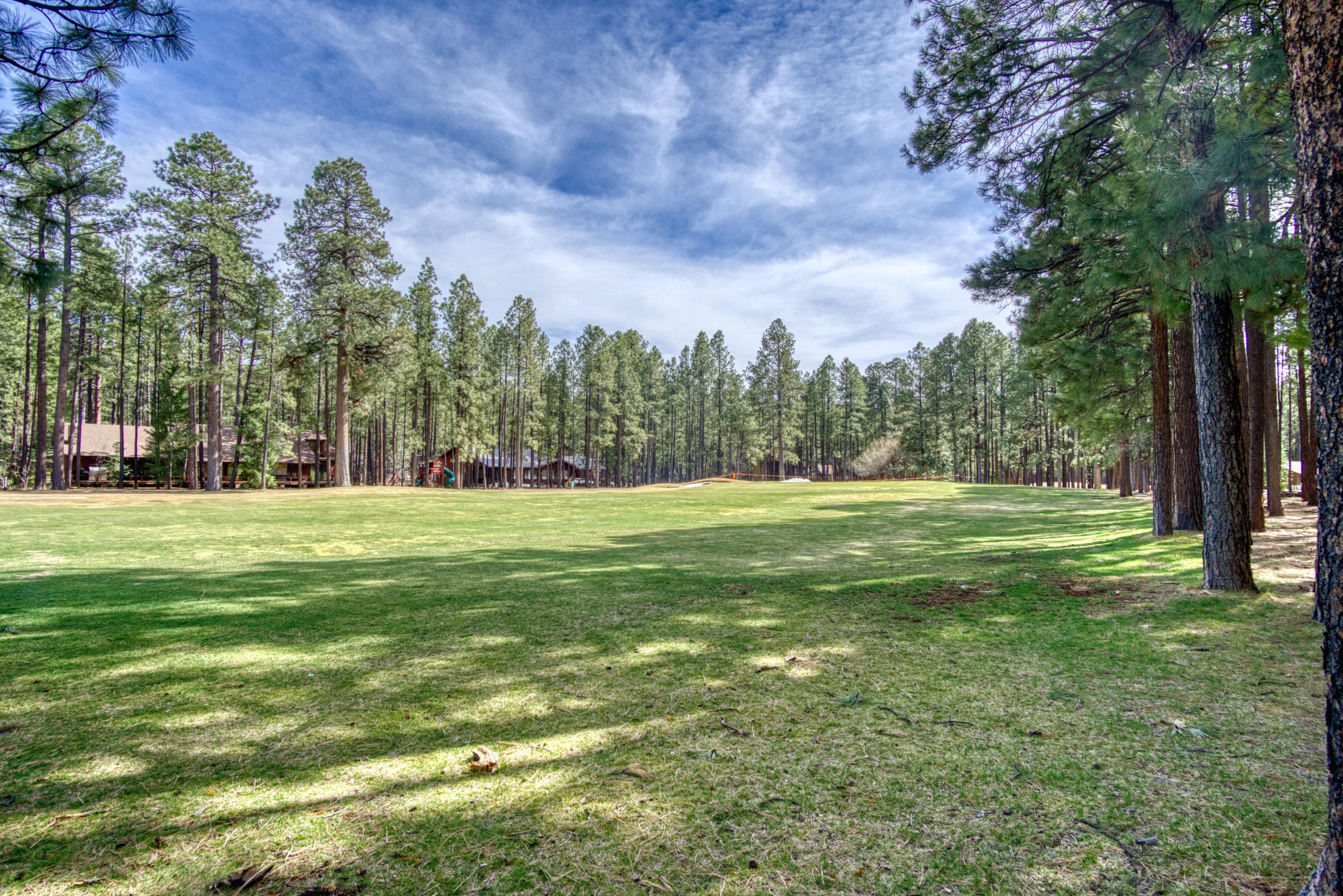 7841 Geronimo Road Pinetop, AZ 85935 - Photo 7 of 20 Gallery Image 7