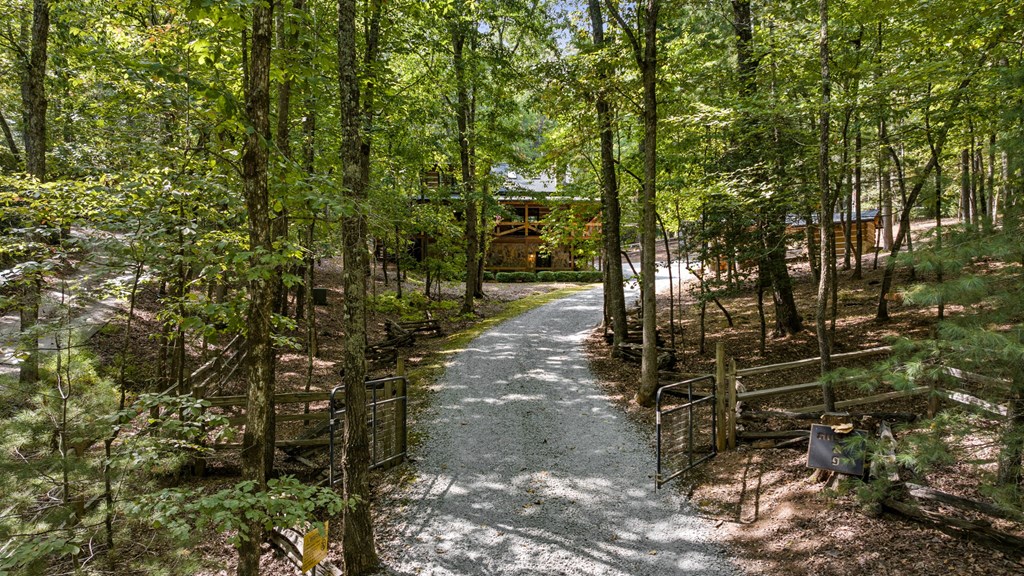 249 Weeks Creek Road Blue Ridge, GA 30513 - Photo 47 of 51 Gallery Image 47