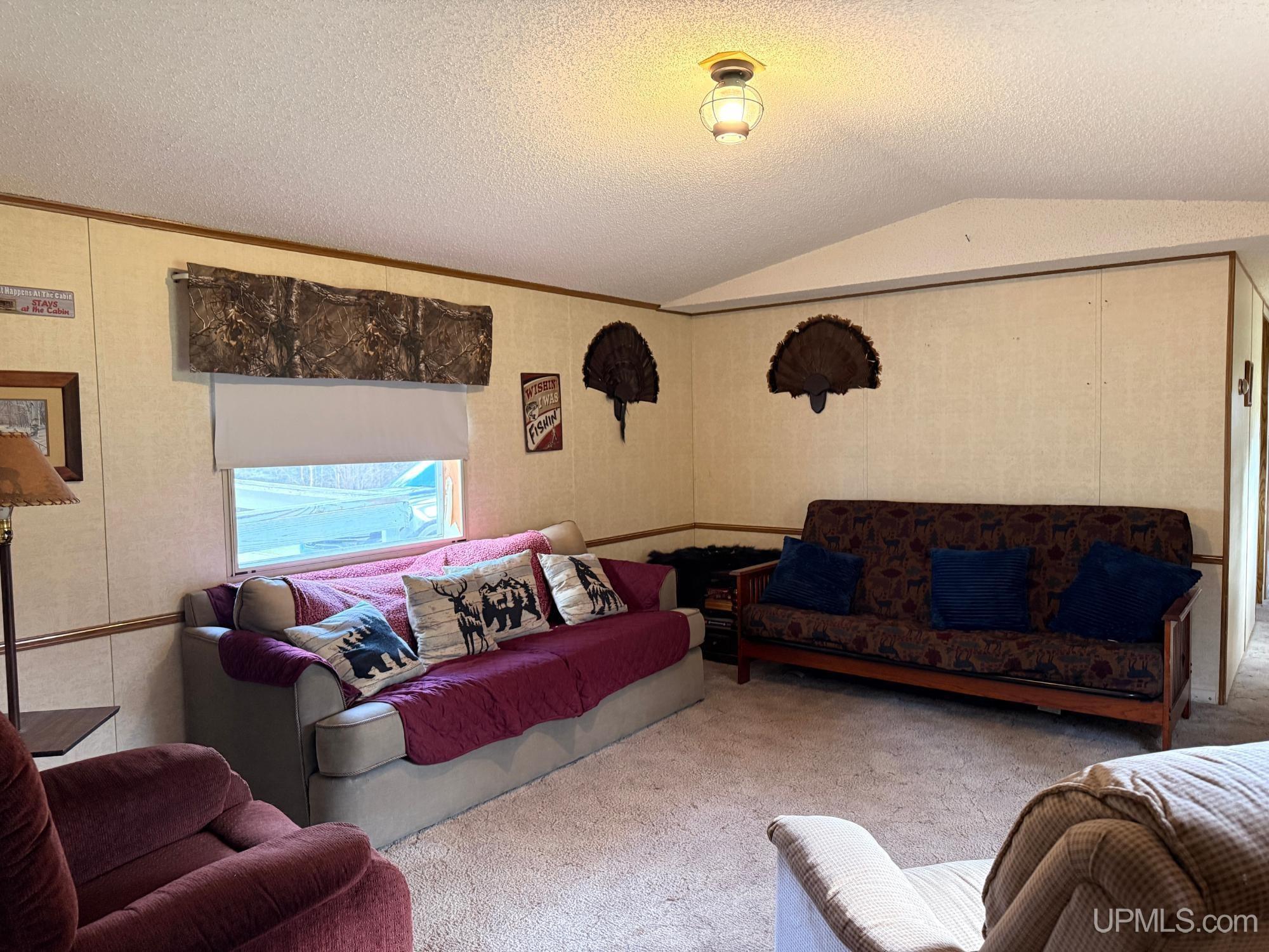 11624 Delbert Drive Long Lake, WI 54542 - Photo 8 of 36