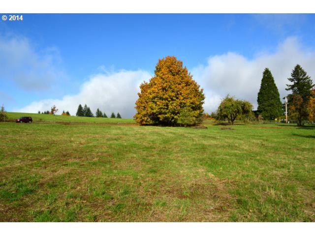 Chapman Road Sherwood, OR 97140 - Photo 1 of 7 Gallery Image 1