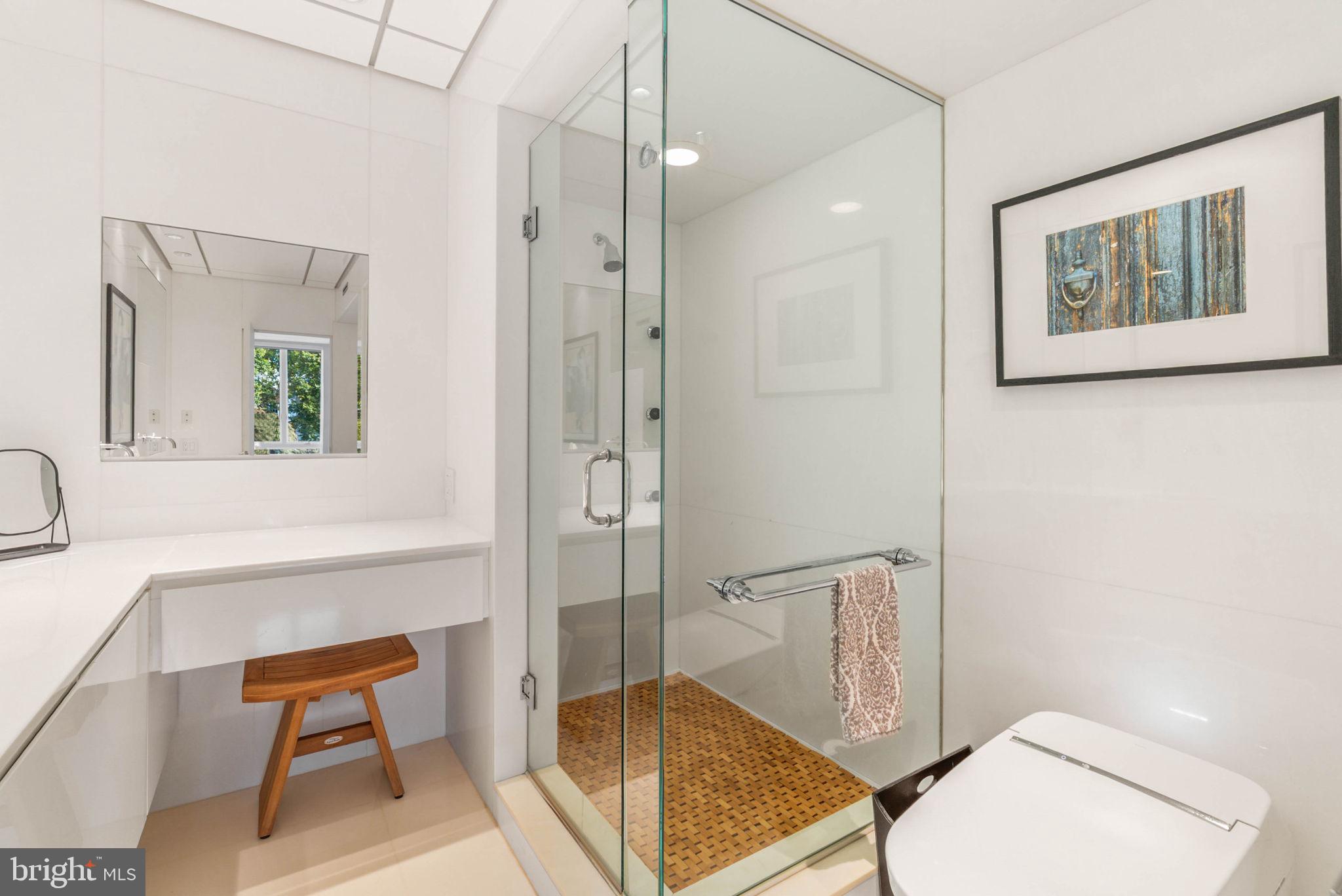 254 South 3rd Street Philadelphia, PA 19106 - Photo 49 of 73 a bathroom with a toilet a sink and mirror