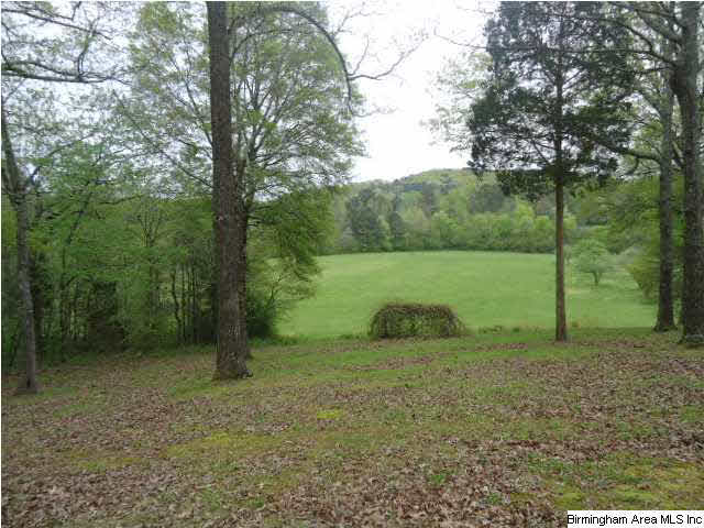 6839 Old Springville Road Trussville, AL 35173 - Photo 4 of 17