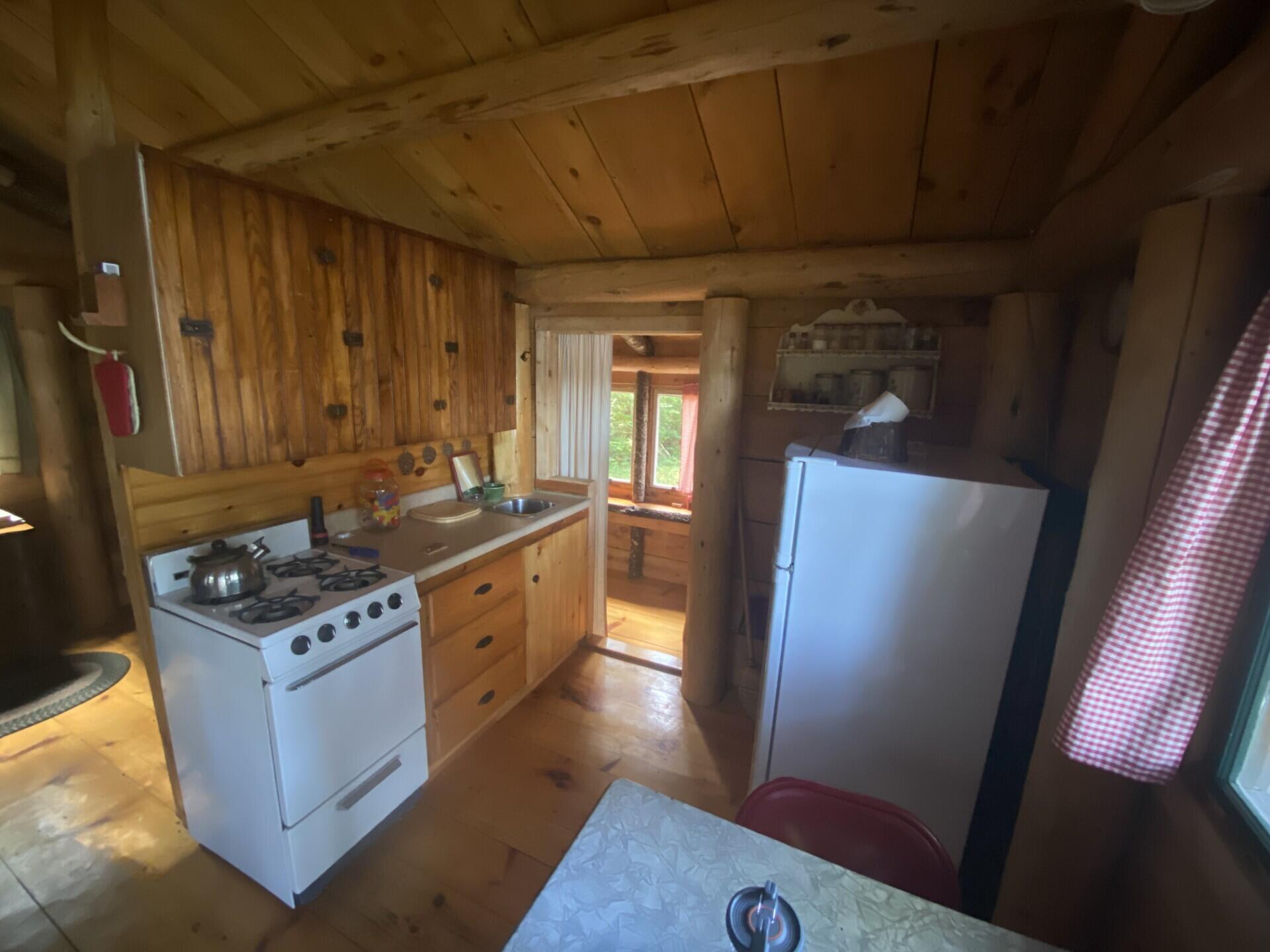 Lot 14 Rowe Pond Road Bingham, ME 04920 - Photo 26 of 49 Woodshed kitchen