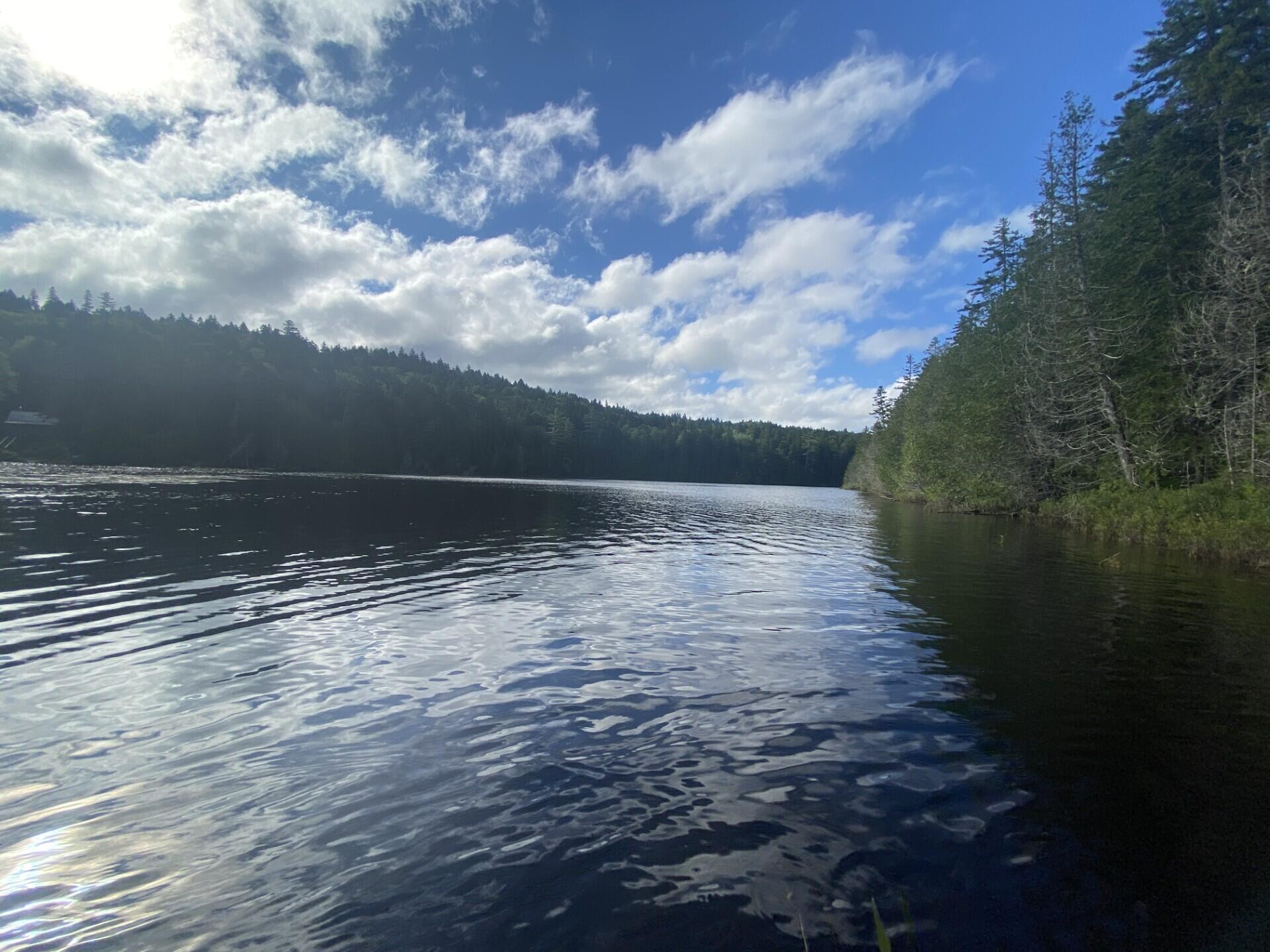 Lot 14 Rowe Pond Road Bingham, ME 04920 - Photo 44 of 49 Over 1,000 ft owned
