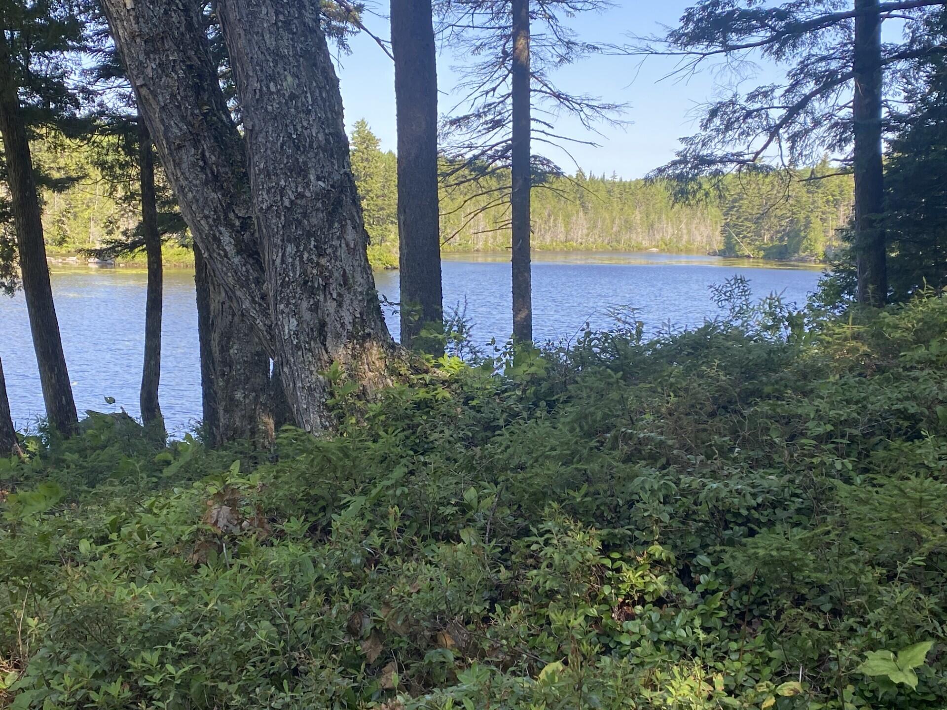 Lot 14 Rowe Pond Road Bingham, ME 04920 - Photo 46 of 49 Your own private flyfishing oasis