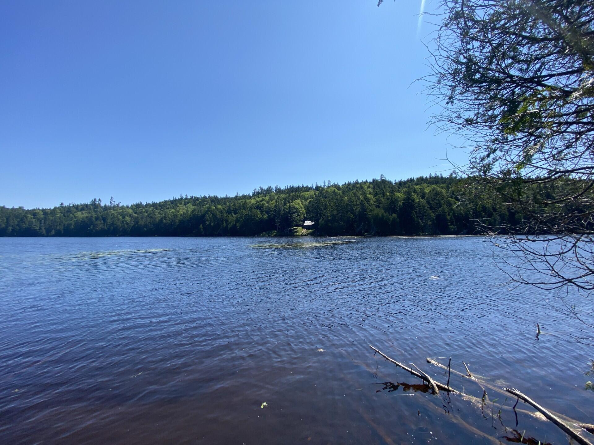Lot 14 Rowe Pond Road Bingham, ME 04920 - Photo 48 of 49 A roughly 40 acre fly fishing only pond