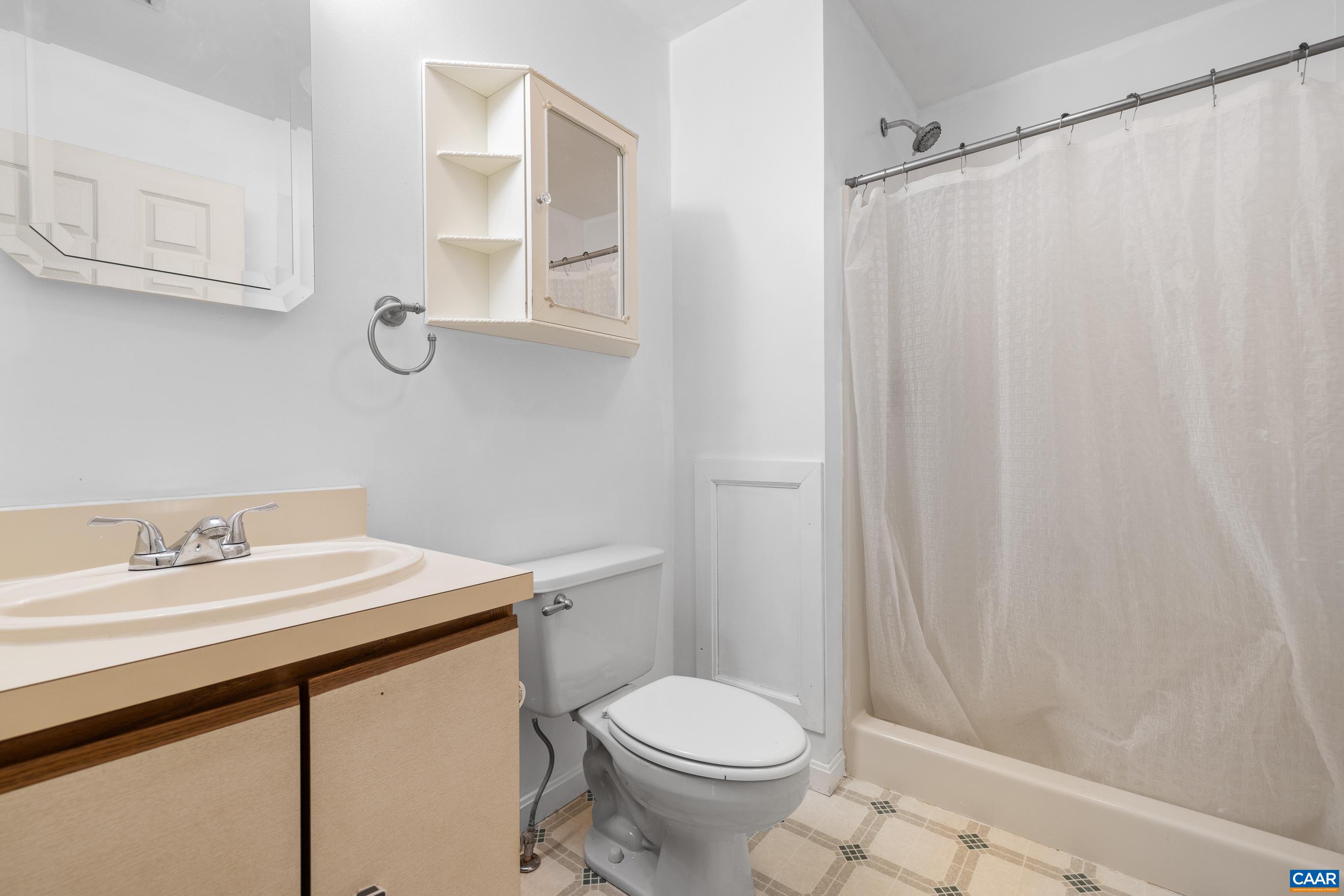 6183 Spring Hill Road Ruckersville, VA 22968 - Photo 26 of 31 a bathroom with a sink a toilet and shower curtain
