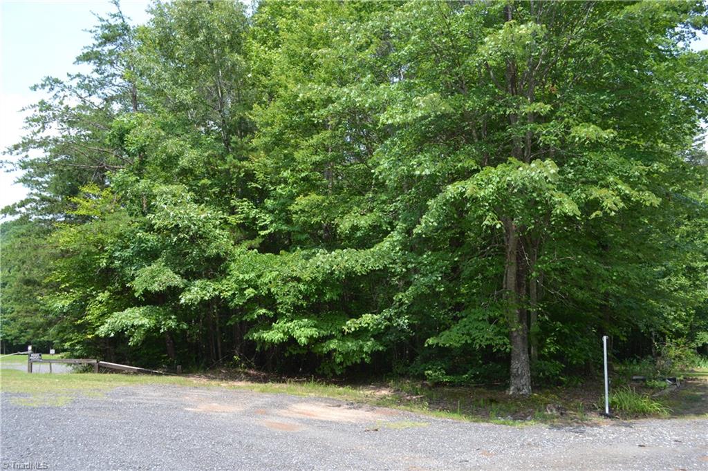 1.65-acres Loblolly Road Madison, NC 27025 - Photo 1 of 2 Gallery Image 1
