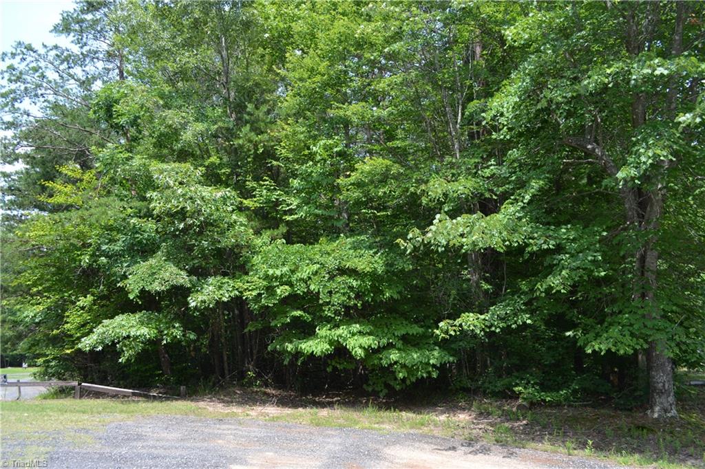 1.65-acres Loblolly Road Madison, NC 27025 - Photo 2 of 2 Gallery Image 2