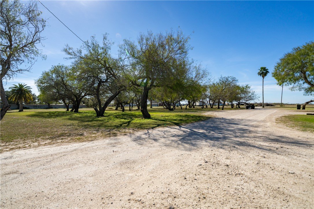 990 East Farm To Market 628 Riviera, TX 78379 - Photo 17 of 39 a view of a park