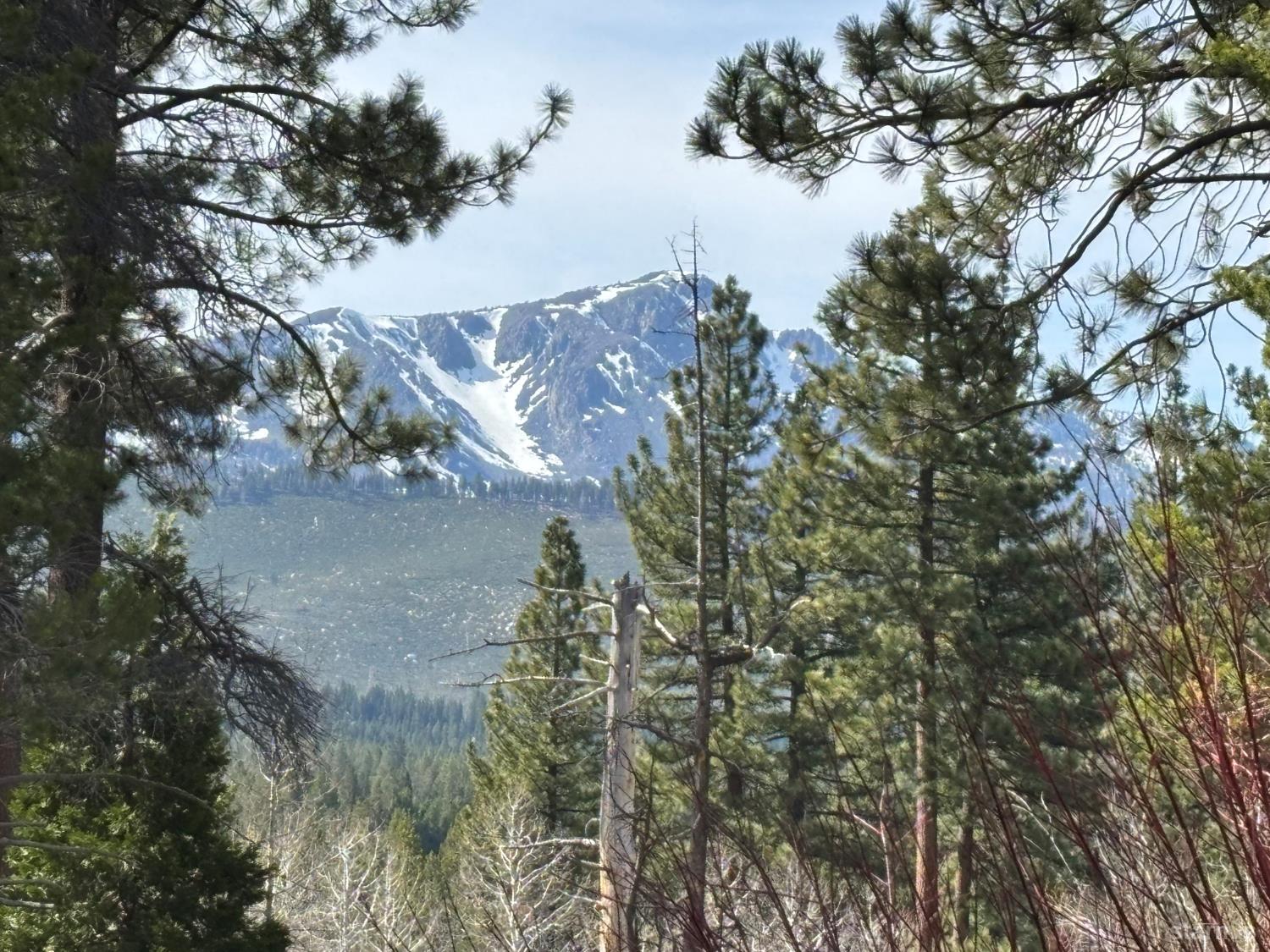 1655 Pebble Beach Road South Lake Tahoe, CA 96150 - Photo 29 of 29