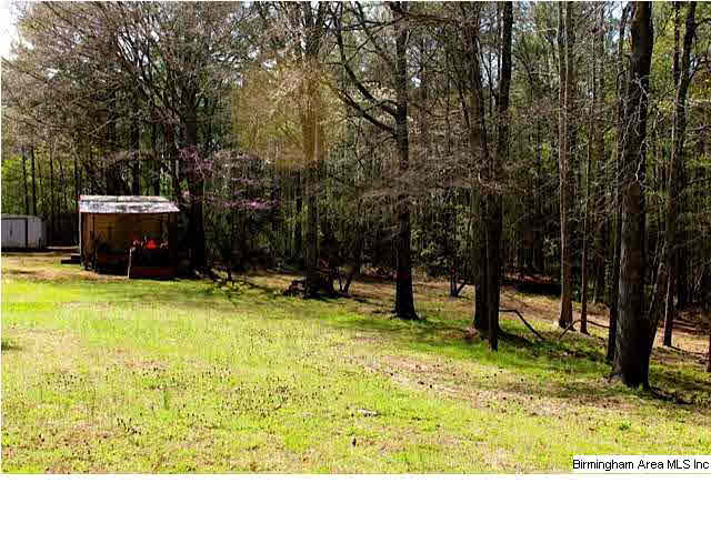 335 Cove Shocco Road Talladega, AL 35160 - Photo 12 of 24
