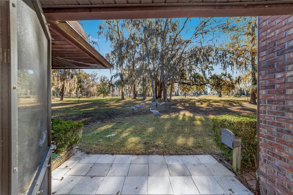 6015 Southwest 36th Way Gainesville, FL 32608 - Photo 52 of 67 a view of backyard with wooden fence