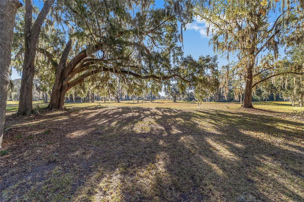 6015 Southwest 36th Way Gainesville, FL 32608 - Photo 58 of 67 a view of dirt yard with large trees