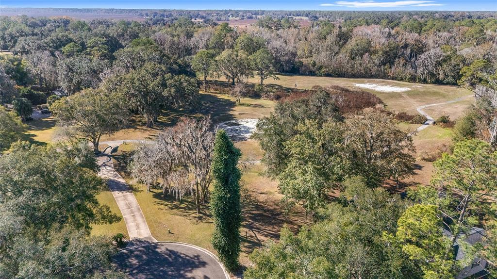 6015 Southwest 36th Way Gainesville, FL 32608 - Photo 61 of 67 a view of a yard with a tree