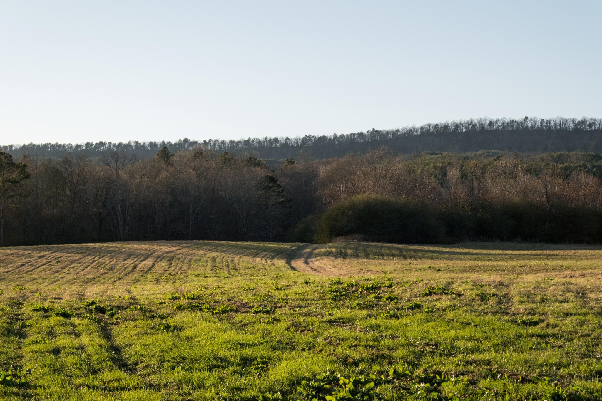 0 Floyd Springs Road Northeast Armuchee, GA 30105 - Photo 26 of 36 Gallery Image 26