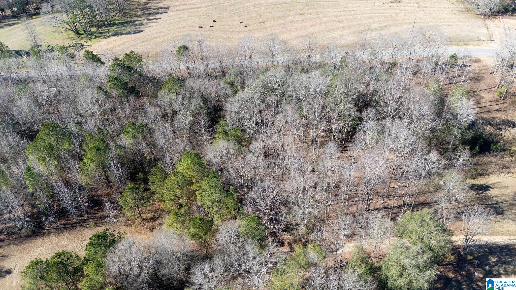 0 Campground Road, Unit 30 Northport, AL 35475 - Photo 3 of 19 Gallery Image 3