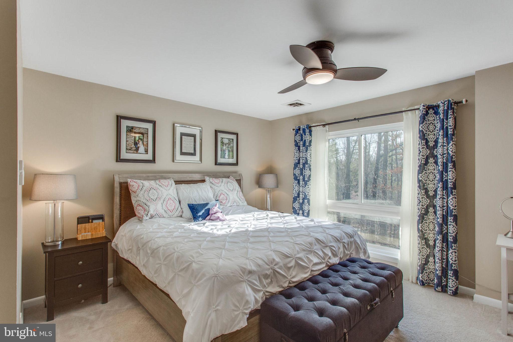 11069 Saffold Way Reston, VA 20190 - Photo 19 of 66 Sun lit Master Bedroom