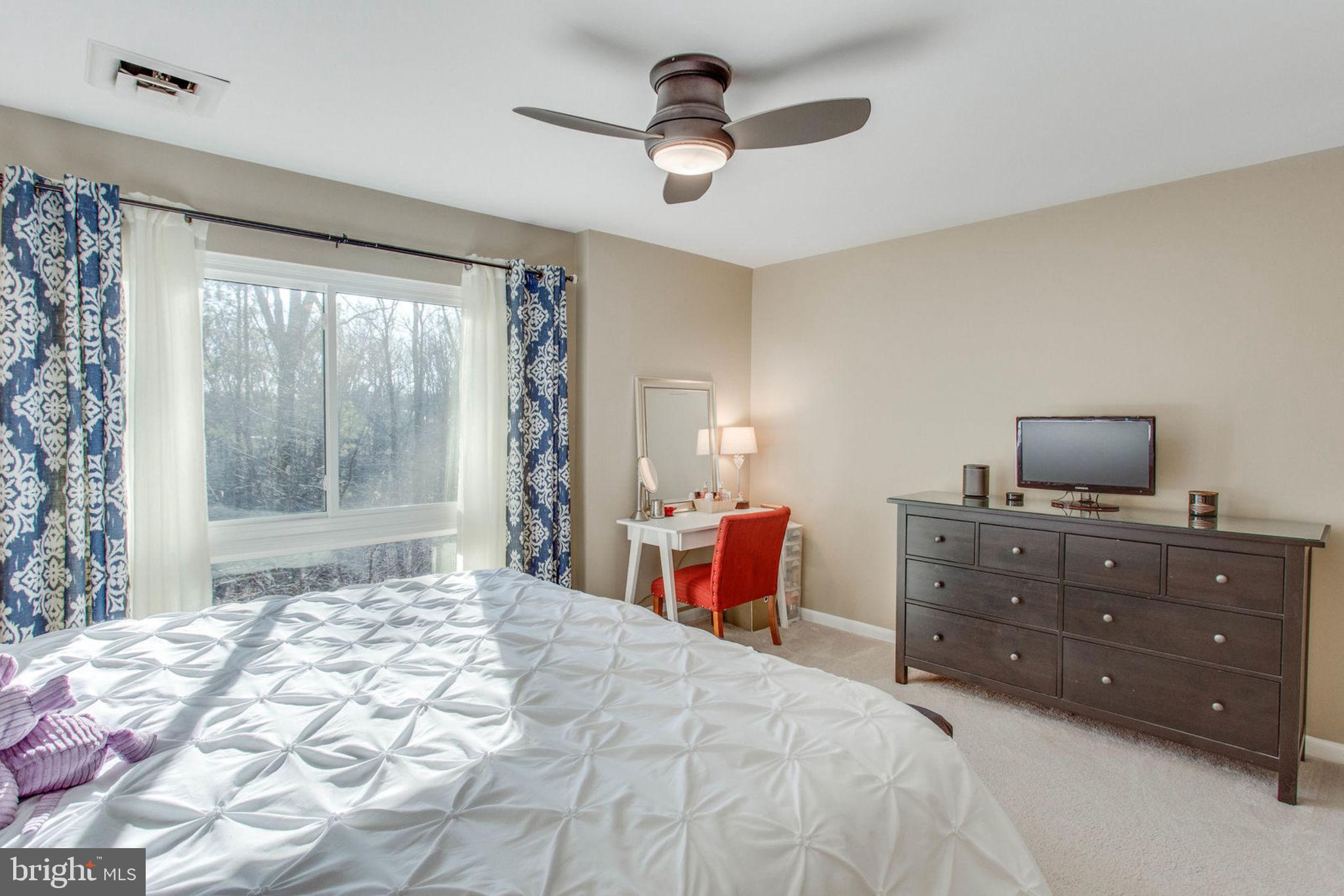 11069 Saffold Way Reston, VA 20190 - Photo 21 of 66 Large Master Bedroom