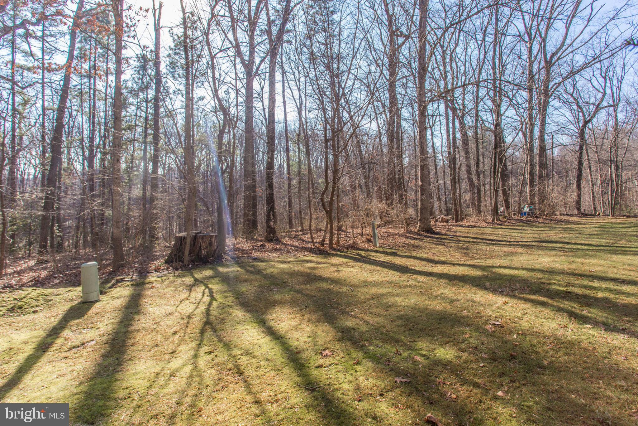 11069 Saffold Way Reston, VA 20190 - Photo 48 of 66 Home backs to trees