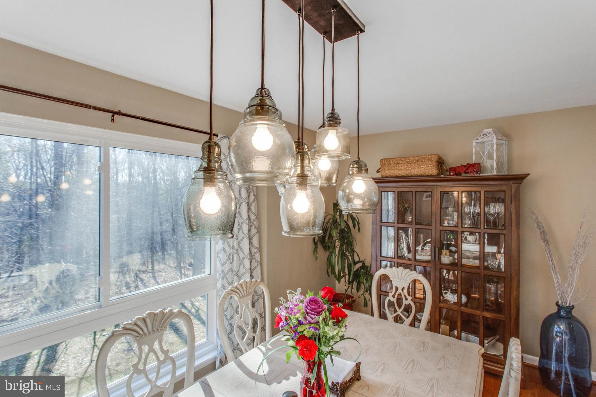 11069 Saffold Way Reston, VA 20190 - Photo 6 of 66 Gorgeous light fixture gives this room character.