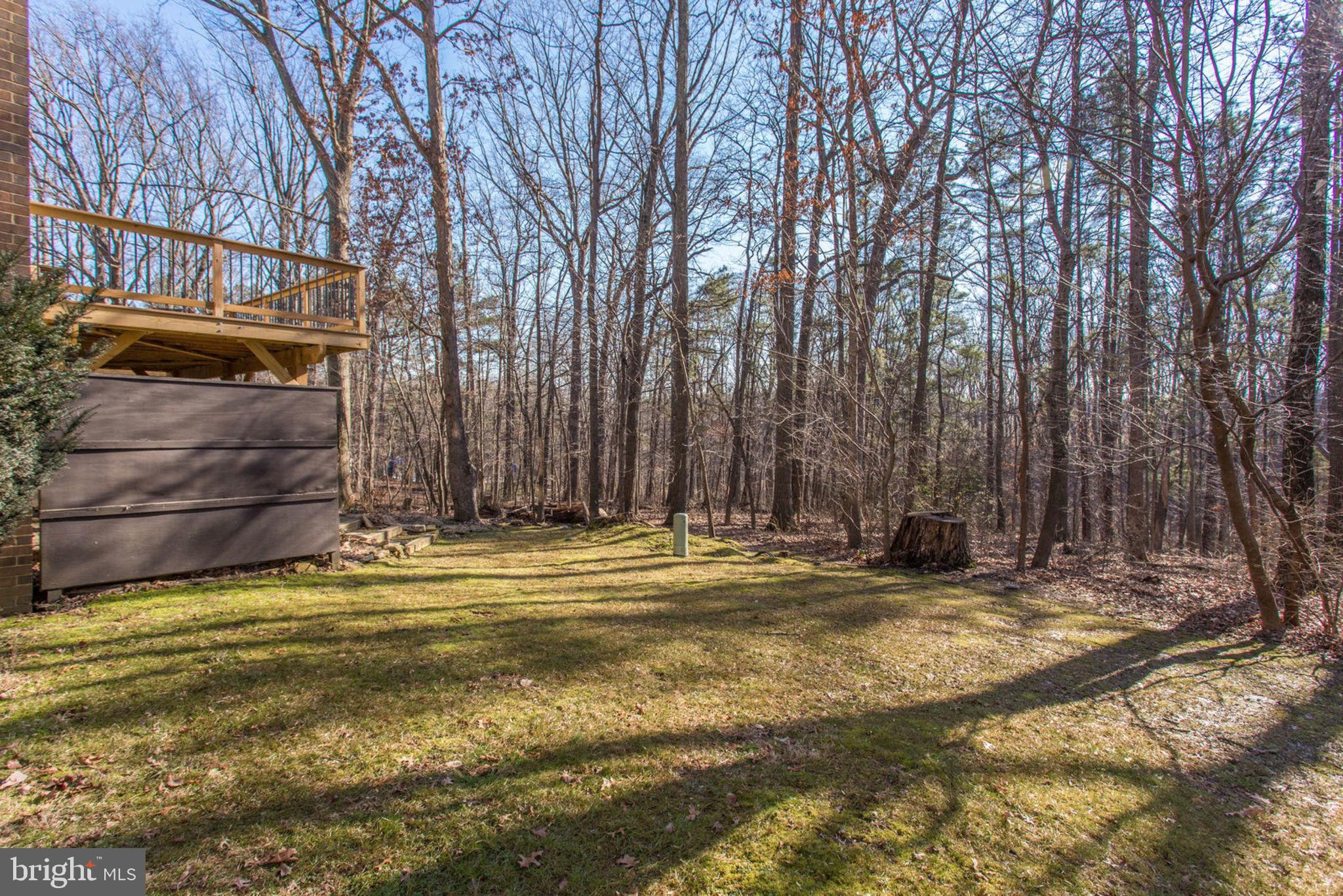 11069 Saffold Way Reston, VA 20190 - Photo 58 of 66 Private Backyard