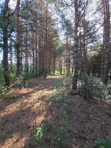 $699,900 | 24661 187th Street Northwest, Big Lake, MN 55309