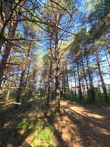 $699,900 | 24661 187th Street Northwest, Big Lake, MN 55309