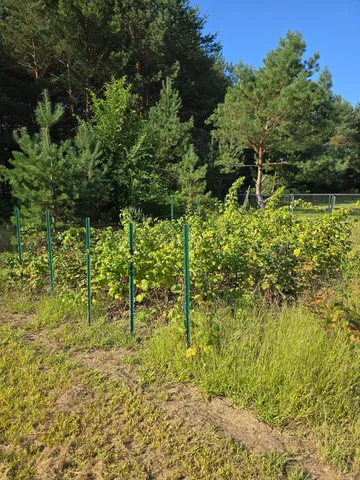 $699,900 | 24661 187th Street Northwest, Big Lake, MN 55309