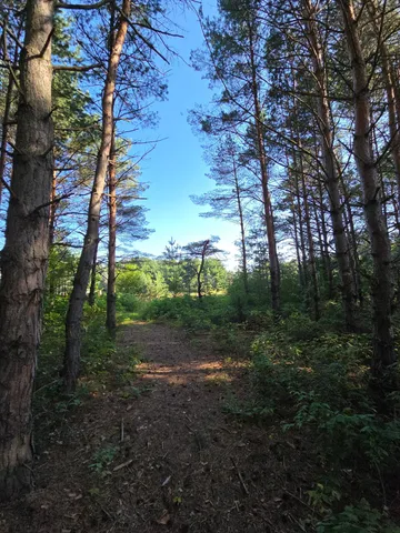 $699,900 | 24661 187th Street Northwest, Big Lake, MN 55309