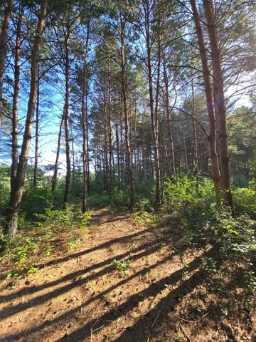 $699,900 | 24661 187th Street Northwest, Big Lake, MN 55309