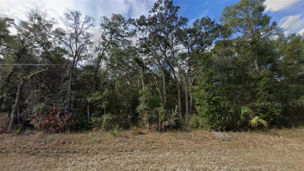 Northwest 85th Avenue Chiefland, FL 32626 - Photo 6 of 26