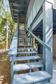 a view of a yard with plants and trees