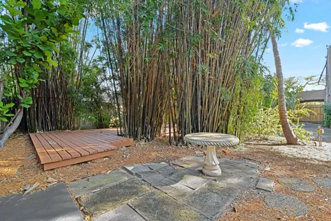 a view of a backyard with palm trees