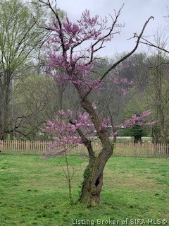 511 East Chestnut Street Corydon, IN 47112 - Photo 4 of 47