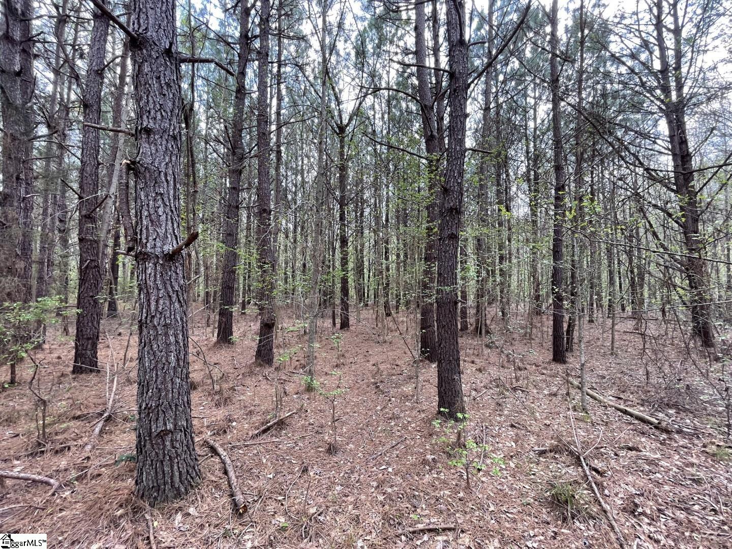 0 Strother Road Union, SC 29379 - Photo 9 of 16