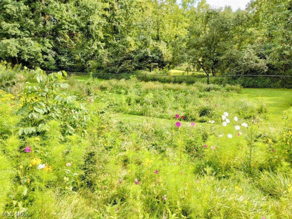2387 North Ridge Road Vermilion, OH 44089 - Photo 34 of 35 View of backyard trail & wild flowers
