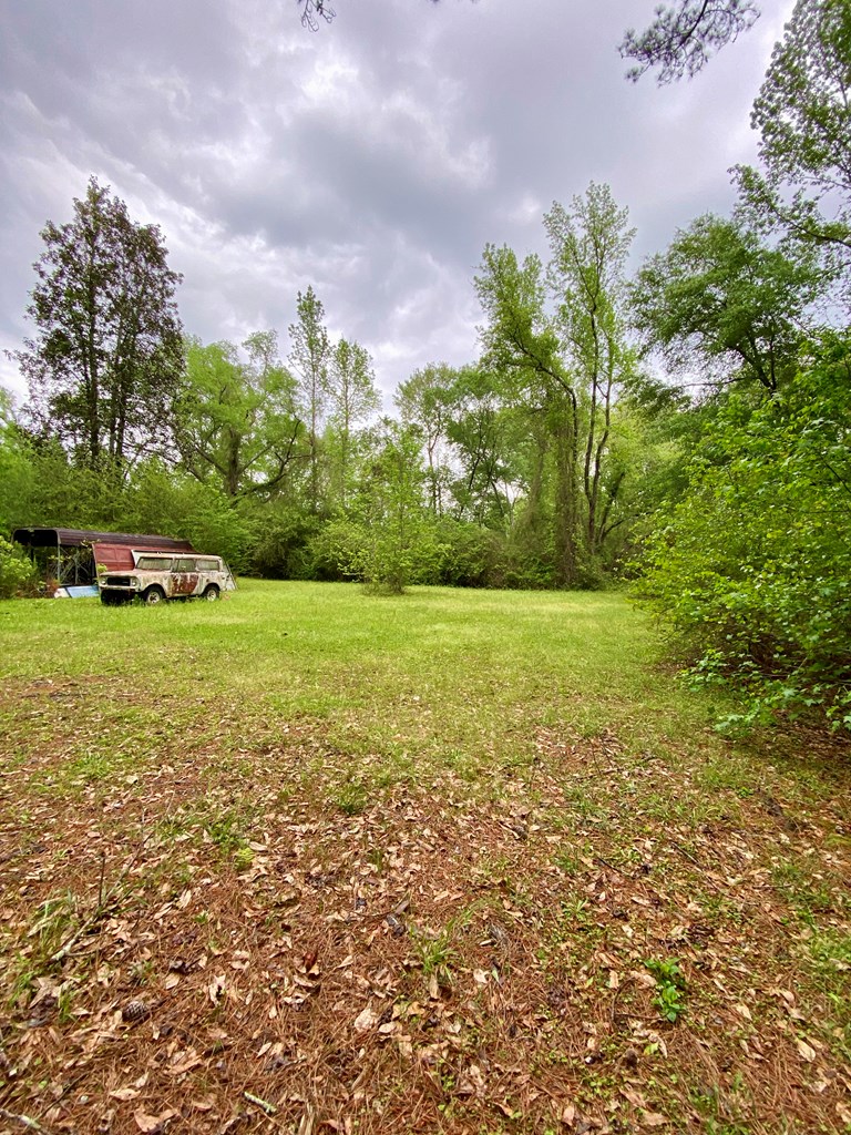 1336 Skipperville Road Ozark, AL 36360 - Photo 8 of 11