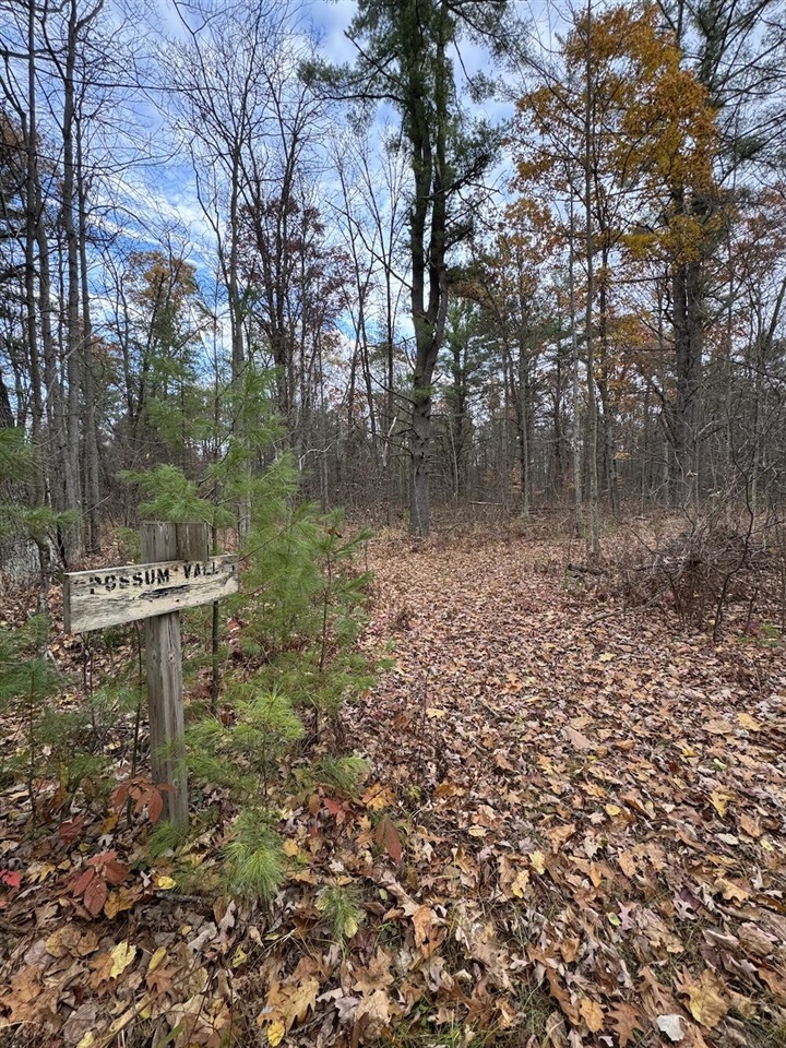4335 Kings Corner Road Glennie, MI 48737 - Photo 64 of 90