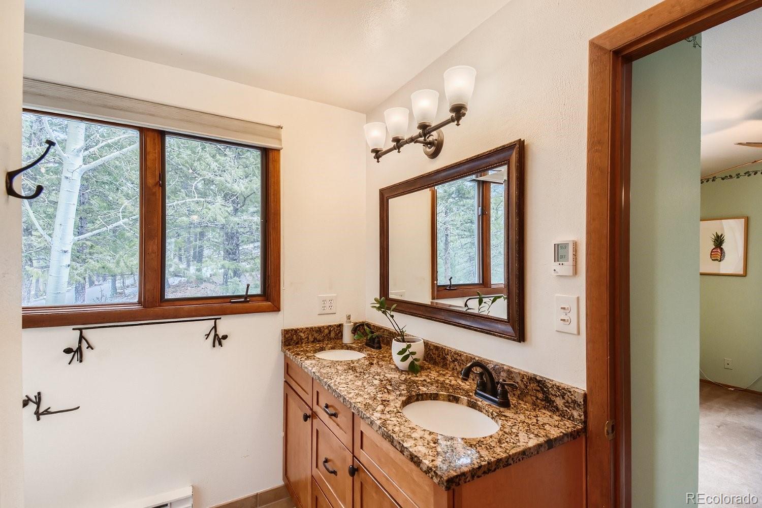 25756 Zugspitz Road Evergreen, CO 80439 - Photo 18 of 31 a bathroom with a granite countertop sink and a window
