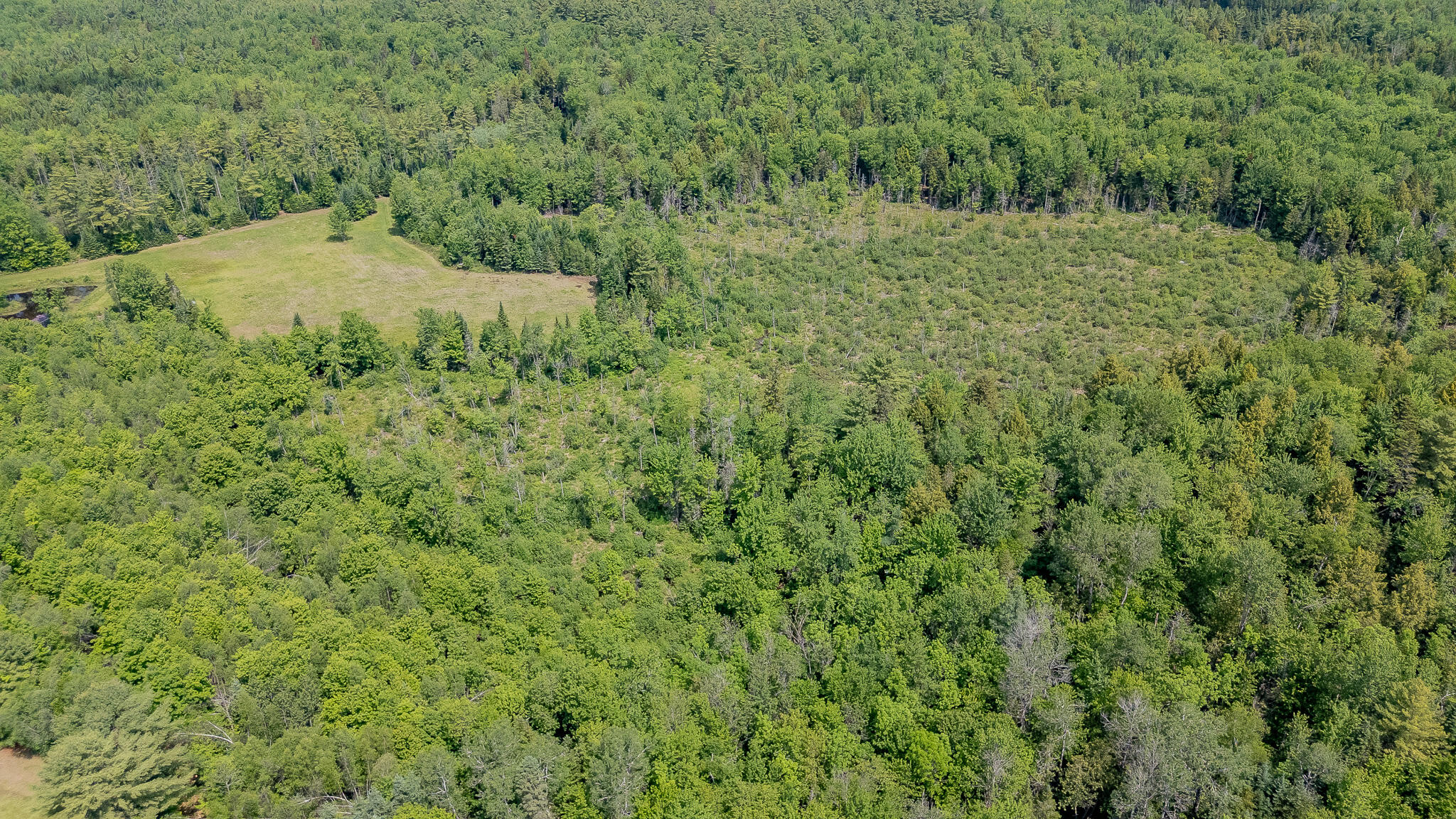 154 Merrills Mills Road Dover-Foxcroft, ME 04426 - Photo 141 of 145 DJI_20260612111420_0764_D