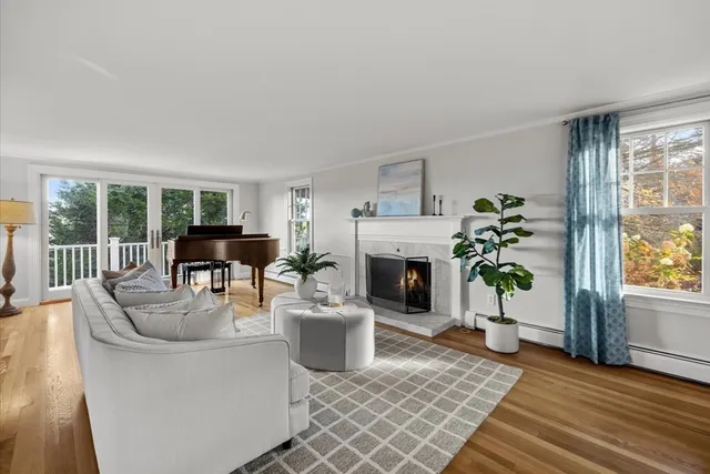 a living room with furniture a fireplace and a potted plant