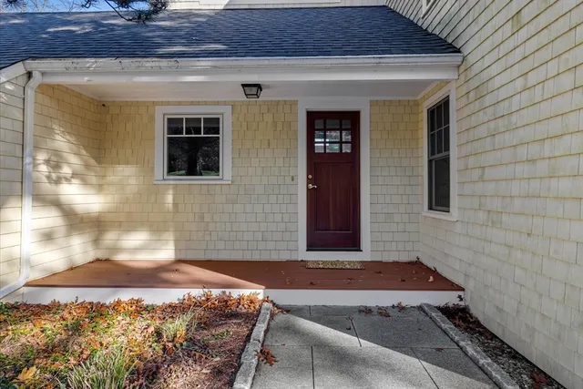 a plant that is in the middle of a garden