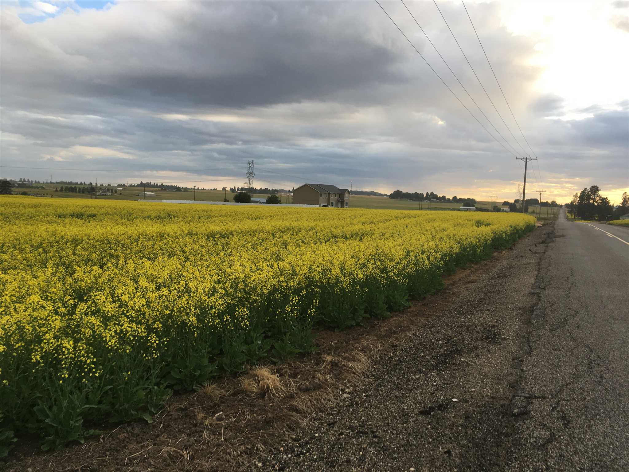 Nna East Pleasant Prairie Road Spokane, WA 99217 - Photo 5 of 6