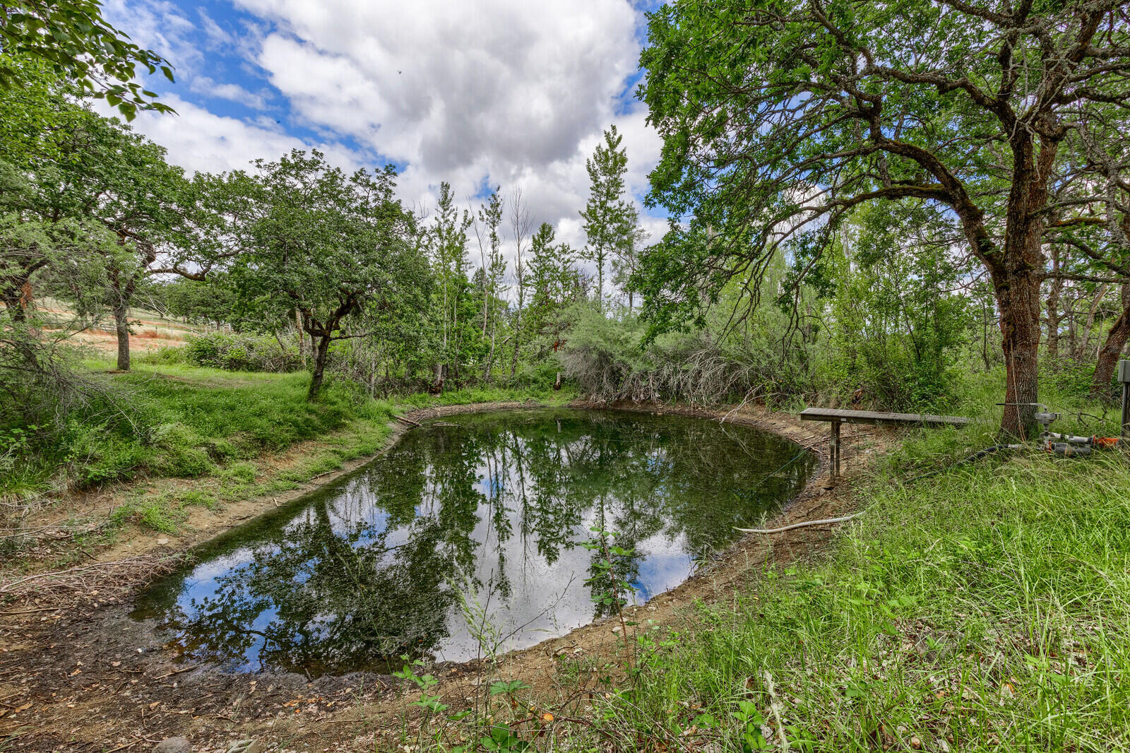 3181 Old Stage Road Central Point, OR 97502 - Photo 64 of 78 a view of a lake with a yard and large trees