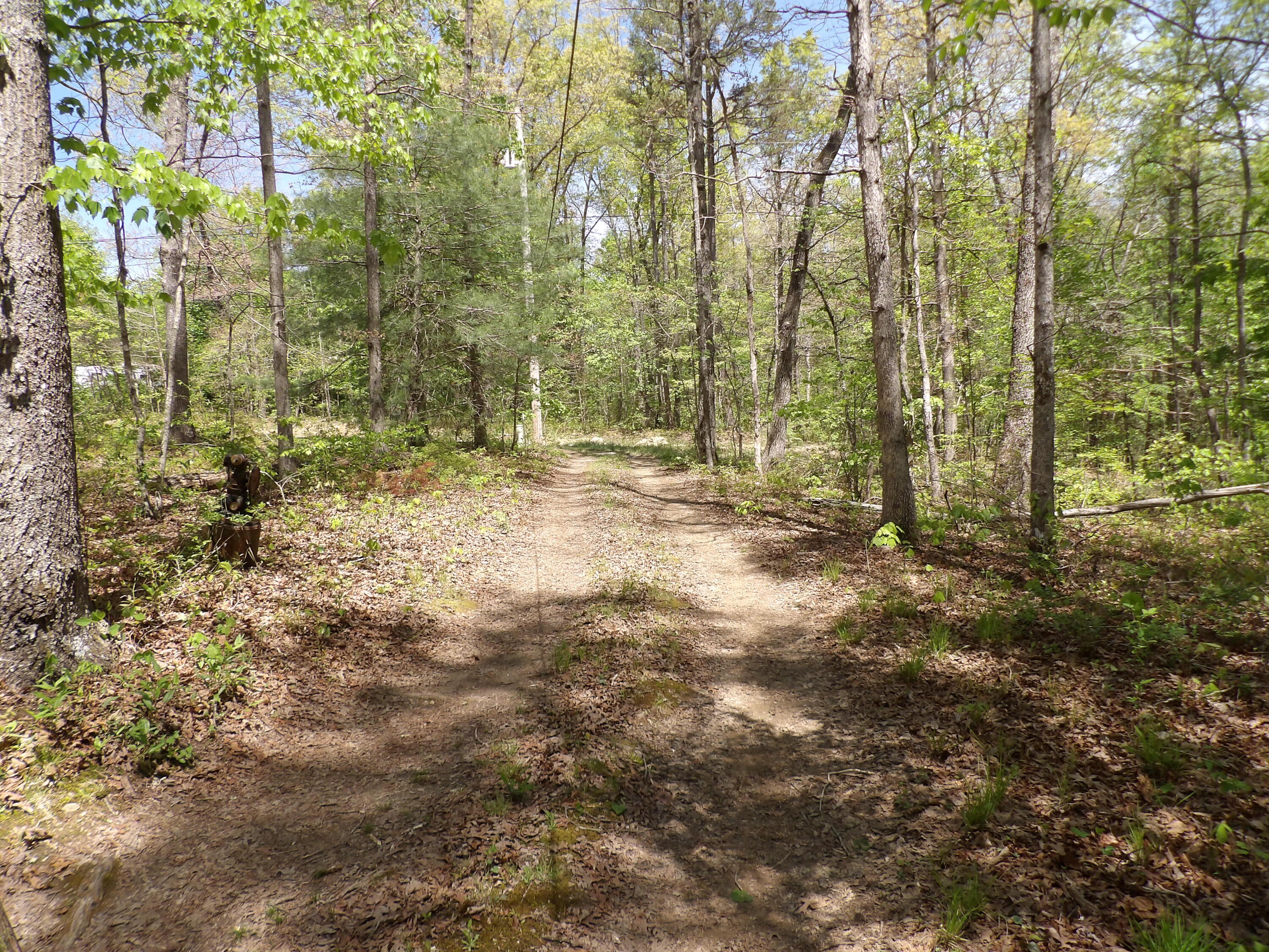 310 Dogwood Road Pikeville, TN 37367 - Photo 15 of 21 100_2423