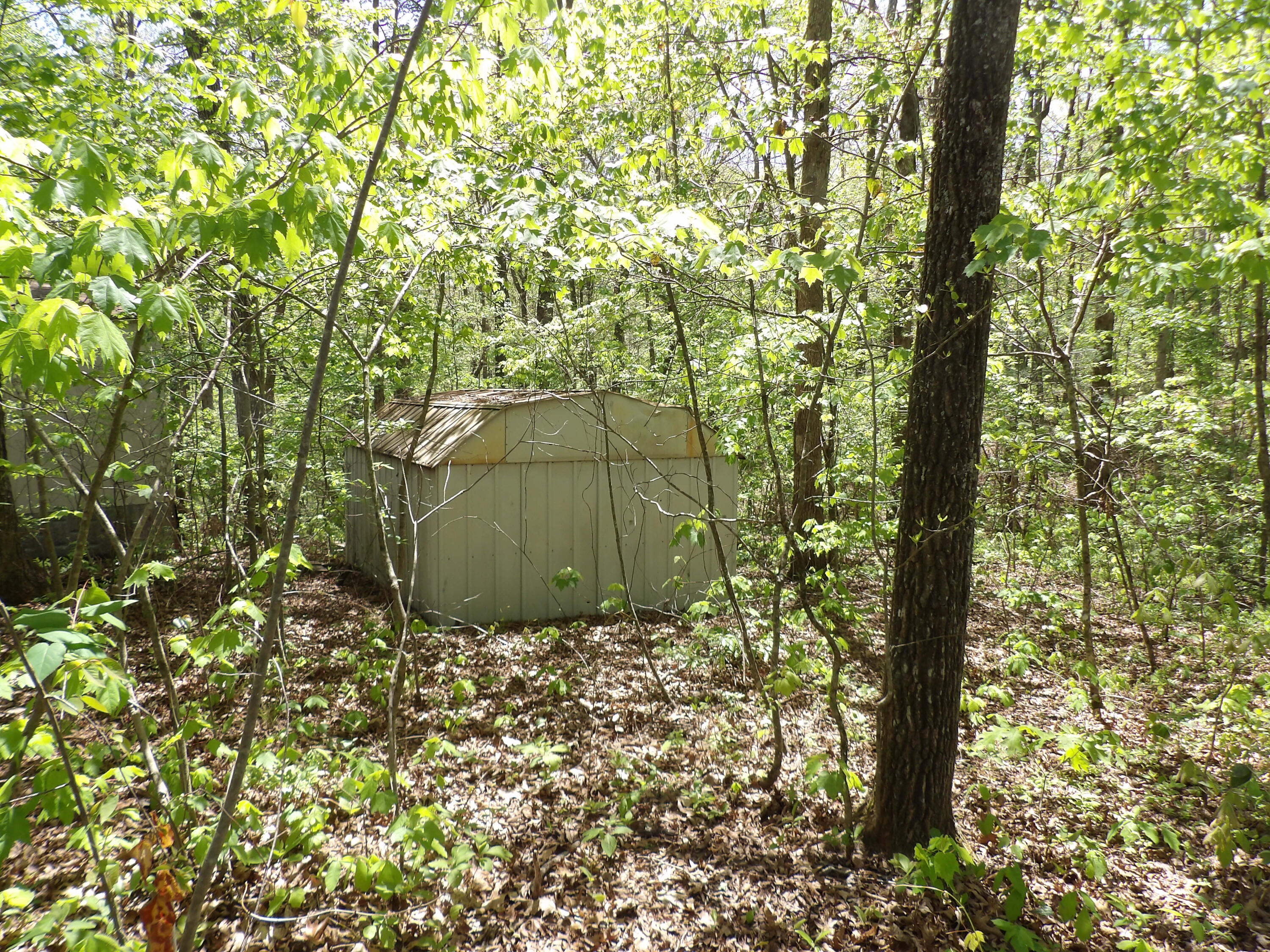 310 Dogwood Road Pikeville, TN 37367 - Photo 16 of 21 100_2424