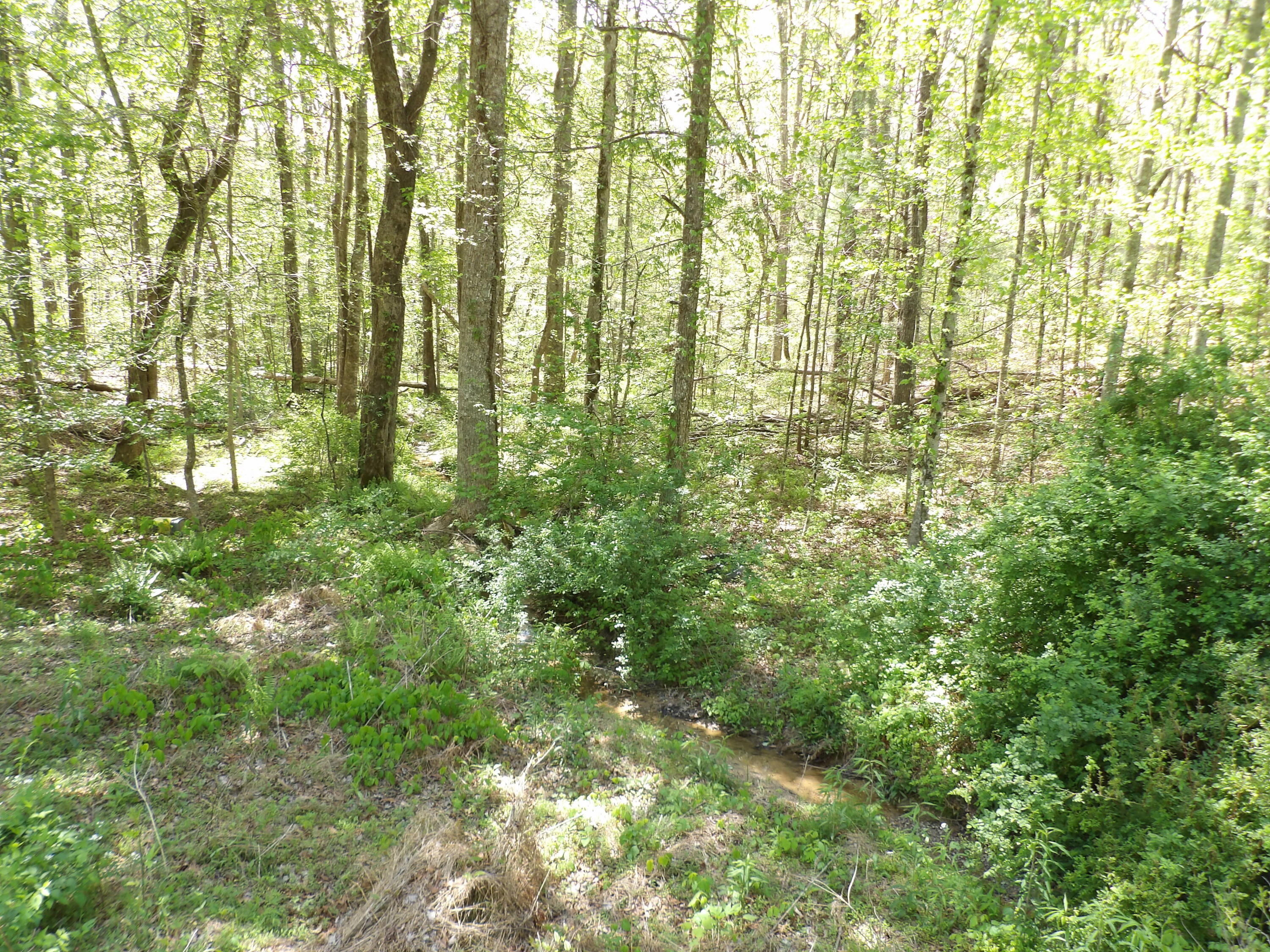 310 Dogwood Road Pikeville, TN 37367 - Photo 20 of 25 100_2426