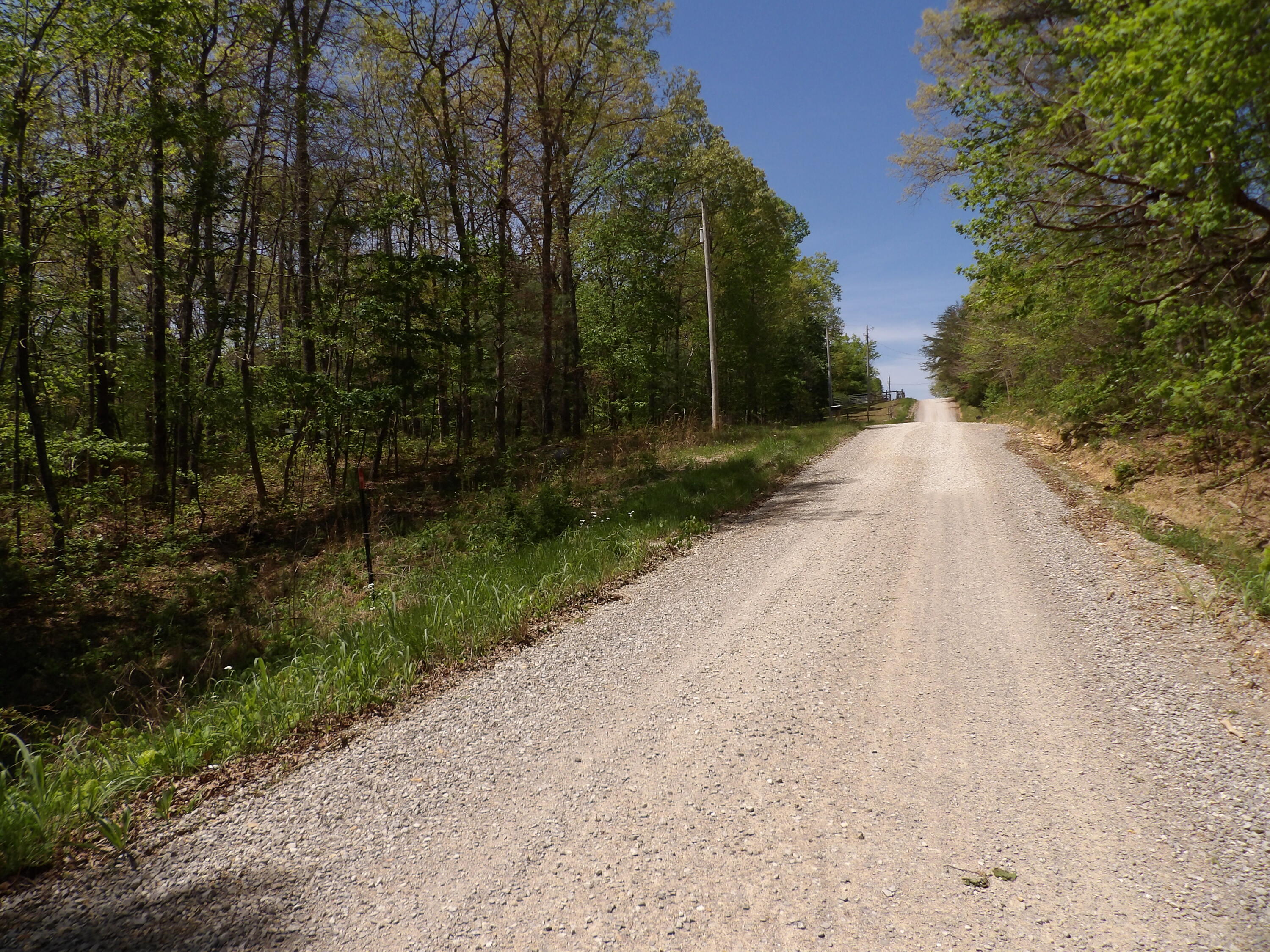 310 Dogwood Road Pikeville, TN 37367 - Photo 20 of 21 100_2428